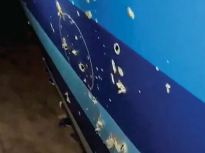 “추락 아제르 여객기, 러시아 미사일이 격추 의혹”