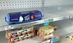 ‘계란=금란’… 올해 가격 46%↑·물가 비상