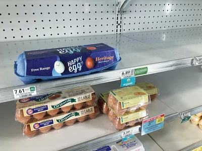 ‘계란=금란’… 올해 가격 46%↑·물가 비상