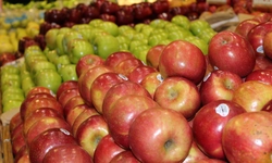 〈한인마트정보〉 한인마트, 새해맞이 할인특가전 열기  ‘후끈’