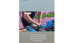 사람은 대피했지만…쇼핑몰 화재로 펫숍 동물 500마리 떼죽음