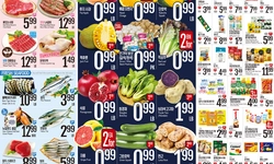 [롯데마켓 세일정보] 기온 ‘뚝’ 고기먹고  힘냅시다… 정육코너 ‘패밀리팩’ 인기