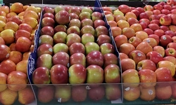 〈한인마트정보〉요일별 특가∙통 큰 세일 ∙밥솥 사면 쌀 공짜∙∙∙각종 세일 ‘후끈’