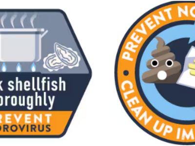 독감·코로나19·RSV·노로 동시 확산…‘쿼드데믹’ 공포