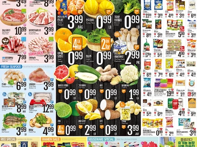 〈롯데마켓 세일정보〉플로리다 유기농 농장 상품 직송전