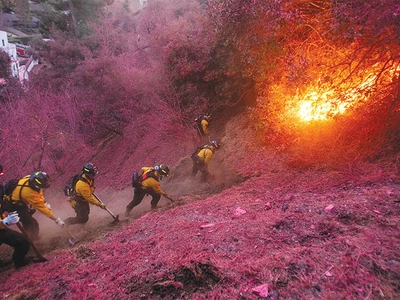 “소화전 고갈·우왕좌왕 대응”… 트럼프 “가주정부 때문”
