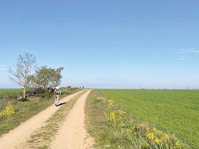 발이 부르트는 고독한 순례길에서 새로운 꿈을 찾고…