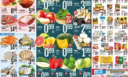 〈롯데마켓 세일정보〉내달 2일까지 강원 농수산 식품  템파 특판전