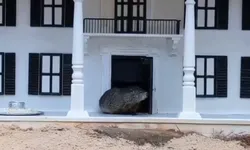 올 겨울 6주 더∙∙∙그라운드 호그 데이