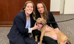 불법 투견장 운영  남성, 475년형 선고