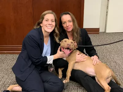 불법 투견장 운영 남성, 475년형 선고