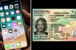 조지아주 모바일 운전면허증 도입 추진