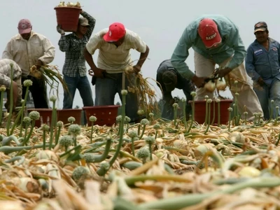 ‘현대판 노예’ 농장노동자 강제노역 주범에 고작 실형 1년