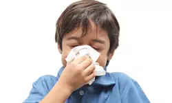 독감 환자 15년 만에 최대...코로나19 사망률 제쳐