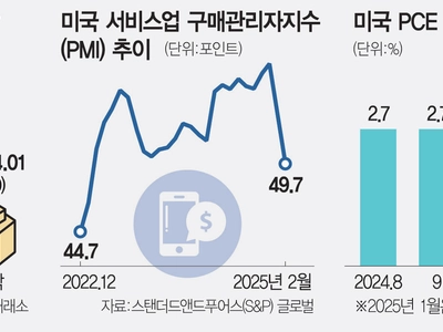 기업 활동까지 위축… 트럼프 관세 ‘S 공포’ 확산