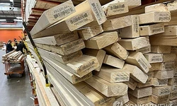 트럼프 "목재 수입 안보영향 조사하라"…한국산 싱크대도 관세 사정권