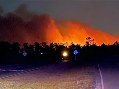 조지아 등 남부지역 산불 피해 점점 더 커진다