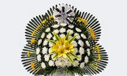 〈부고〉 강신범 WNB 팩토리 공동대표 부친상