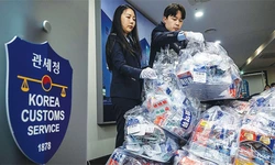 미국서 한국으로 마약 밀반입 급증… 올 285% ↑