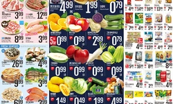 〈롯데마켓 세일 정보〉따뜻한 계절∙∙∙시원 깔끔한 면 모음전