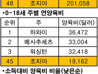 조지아 자녀 총양육비 ‘20만1,058달러’