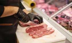 “꼭 필요한 영양분이지만”… 단백질 섭취 ‘과유불급’