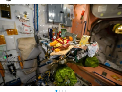 "가족의 맛" 한국계 우주인 조니 김, 우주 식량 '고추장 버거'