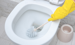 변기에 생긴 ‘분홍색 때’… 치명적 박테리아일 수 있다