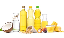 씨앗기름이 건강에 나쁠까?… 실제 과학적 증거는 ‘No’