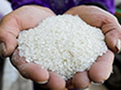 미국 판매 쌀 25% 이상 ´비소´ 기준치 초과