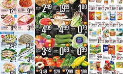 〈롯데마켓 세일 정보〉 초여름 길목… 우리 가족 입맛은 ‘롯데’서