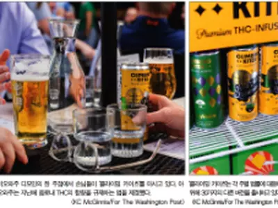 대마 성분 ‘헴프’ 음료 급증… 전문가들, 위험성 우려