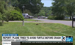 활주로 거북이 피하려 바퀴 올렸나…비행기 추락해 2명 숨져