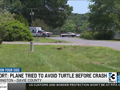 활주로 거북이 피하려 바퀴 올렸나…비행기 추락해 2명 숨져