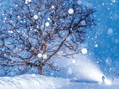 [사고] ‘아마추어 작가들의 멋진 솜씨’… 제4회 본보 사진 공모전