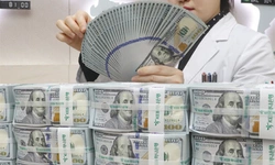 한국 개인·기업 최대 투자처는 미국