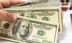 조지아 특별 세금 환급 왜 이리 늦지