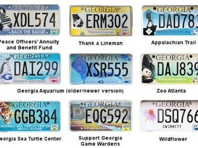 'UGA’부터 ‘나비’까지…조지아 차량 번호판 각양각색
