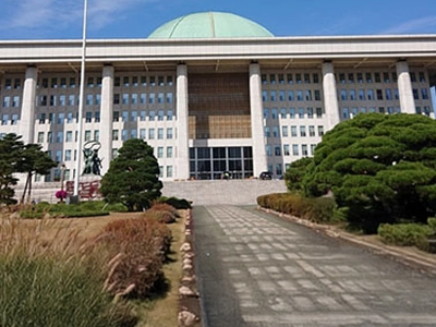 선천적 복수국적법 ‘개정안’ 발의조차 못했다
