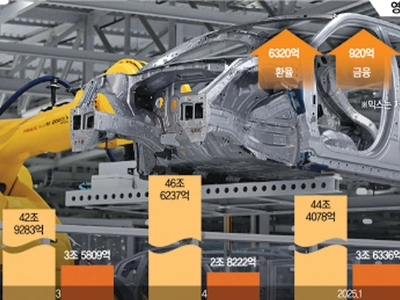미 관세에… 현대차, 매출 신기록에도 영업익 ‘후진’