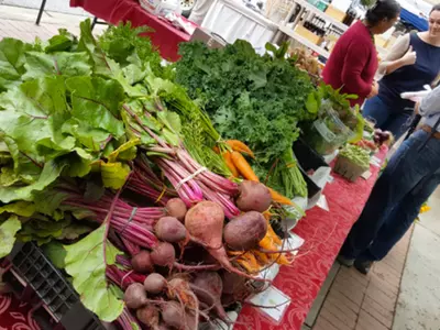 주말 아침 농산물 직거래 장터 이용 재미 ‘쏠쏠’