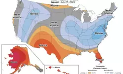 내일 중복... 무더위 한풀 꺽인다