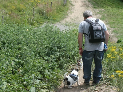 심장 전문의가 말하는 심혈관 질환 예방 ‘10계명’