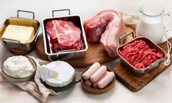 [의학 카페] “소 지방과 돼지 기름 종양 촉진·면역은 약화”