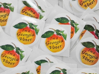 2026 조지아 중간선거, 누가 출마하나