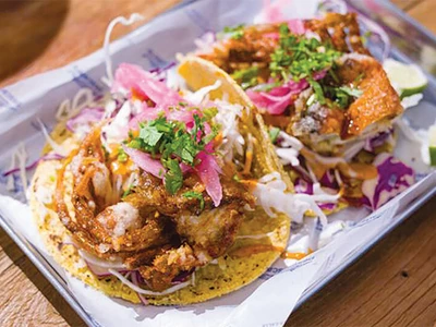 "진짜 토르티야는 이런 맛" 한국 속 '멕시코 음식' 종결자