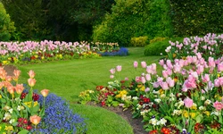 여름철 물먹는 하마 ‘잔디’… 토종식물로 바꾸면 비용↓