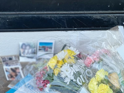 한인 치과의 가족 살해 후 극단 선택 (종합)