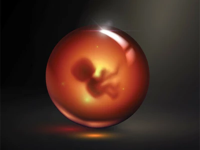 보이지 않는 건강 위협… ‘프탈레이트’의 그림자