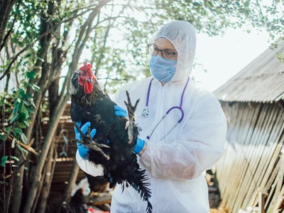 조지아서 조류독감 발생…당국 긴장
